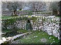 IMG_1862.JPG