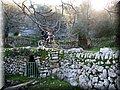 IMG_1863.JPG