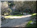 IMG_1864.JPG