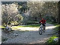 IMG_1865.JPG
