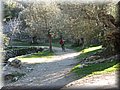 IMG_1867.JPG