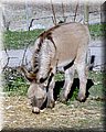 IMG_1870.JPG