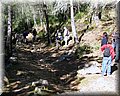 IMG_1871.JPG