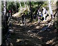 IMG_1875.JPG