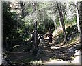 IMG_1880.JPG