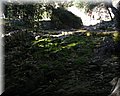IMG_1883.JPG
