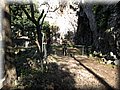 IMG_1886.JPG