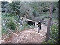 IMG_1889.JPG