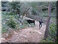 IMG_1891.JPG
