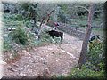 IMG_1892.JPG