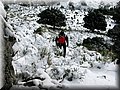 IMG_1966.JPG
