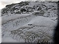 IMG_1981.JPG