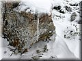 IMG_1986.JPG