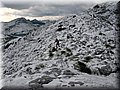 IMG_2011.JPG