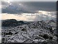 IMG_2041.JPG