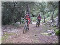 IMG_2064.JPG