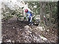 IMG_2067.JPG
