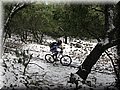 IMG_2080.JPG