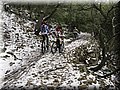 IMG_2088.JPG