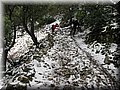 IMG_2093.JPG