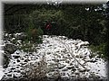 IMG_2094.JPG