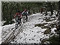 IMG_2109.JPG