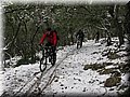 IMG_2110.JPG