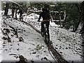 IMG_2114.JPG