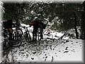 IMG_2116.JPG