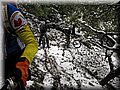 IMG_2127.JPG