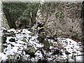 IMG_2137.JPG
