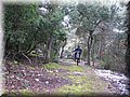IMG_2150.JPG