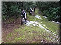 IMG_2151.JPG