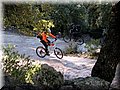 IMG_2201.JPG