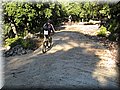 IMG_2207.JPG