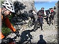 IMG_2209.JPG