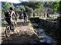 IMG_2215.JPG