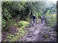 IMG_2223.JPG