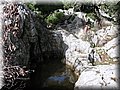 IMG_2247.JPG