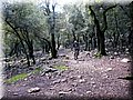 IMG_2252.JPG