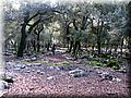 IMG_2257.JPG