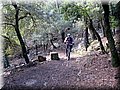 IMG_2264.JPG
