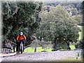 IMG_2271.JPG