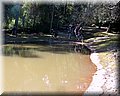 IMG_2273.JPG