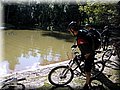 IMG_2279.JPG