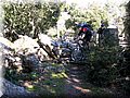 IMG_2294.JPG