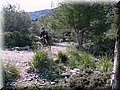 IMG_2296.JPG