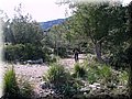 IMG_2297.JPG