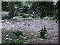 IMG_2355.JPG