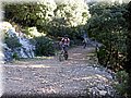IMG_2363.JPG